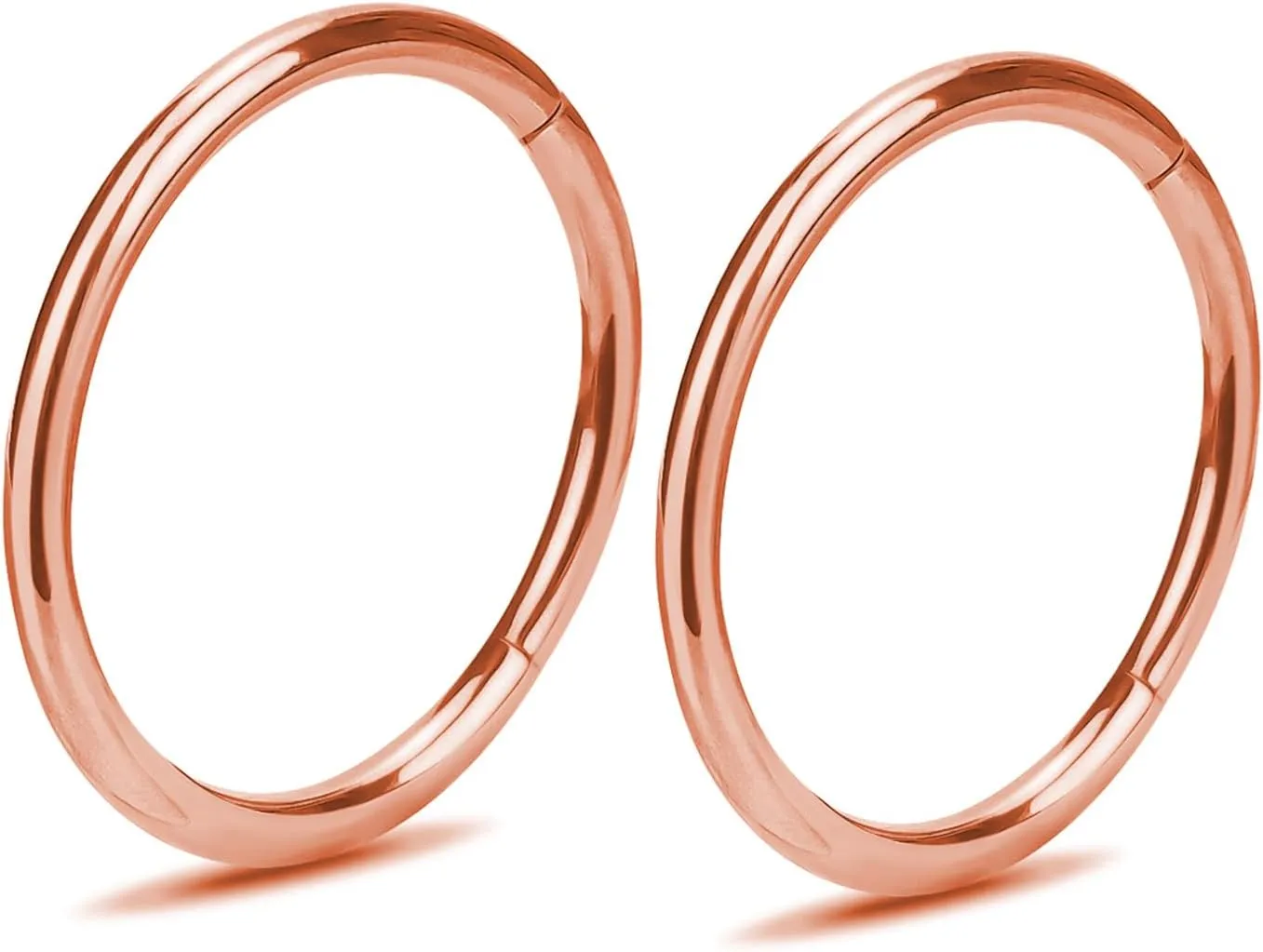 2Pcs Women Men Titanium Nose Rings Hoops 20G 18G 16G Hinged Nose Clicker for Nostril Septum Cartilage Helix Tragus Conch Daith Rook Lip Ear Lobe Piercings Diameter 6mm/7mm/8mm/9mm/10mm/12mm Sliver-Gold-Black-Rose Gold
