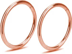 2Pcs Women Men Titanium Nose Rings Hoops 20G 18G 16G Hinged Nose Clicker for Nostril Septum Cartilage Helix Tragus Conch Daith Rook Lip Ear Lobe Piercings Diameter 6mm/7mm/8mm/9mm/10mm/12mm Sliver-Gold-Black-Rose Gold