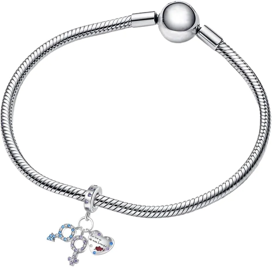 Cute Fashion Charms for Bracelets Necklaces 925 Sterling Silver with 5A Cubic Zirconia Love Heart Charms Jewelry Gift for Womens Mom