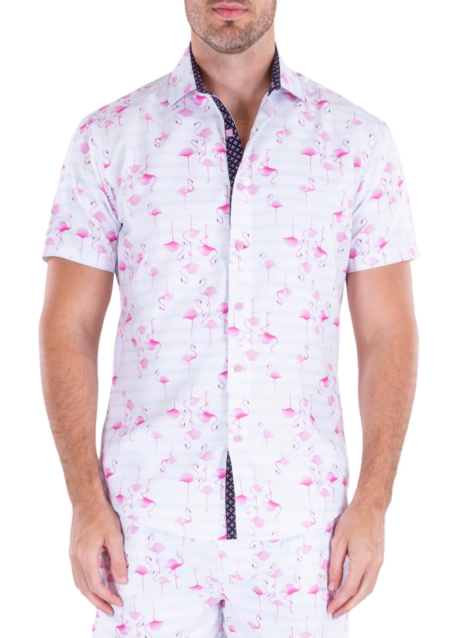 'Flamingle'