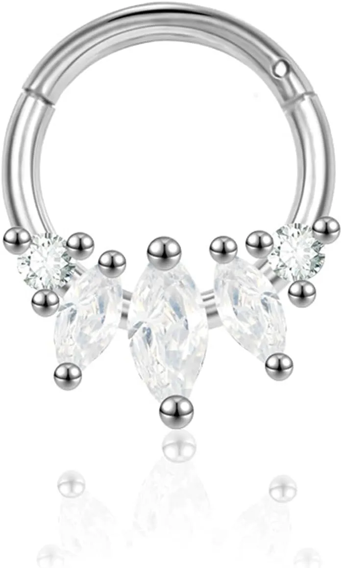 Nose Rings Hoops Septum Rings 16g Nose Piercings Jewelry 316L Surgical Steel Conch Rook Helix Piercing Jewelry CZ Cartilage Hoop Earring for Women