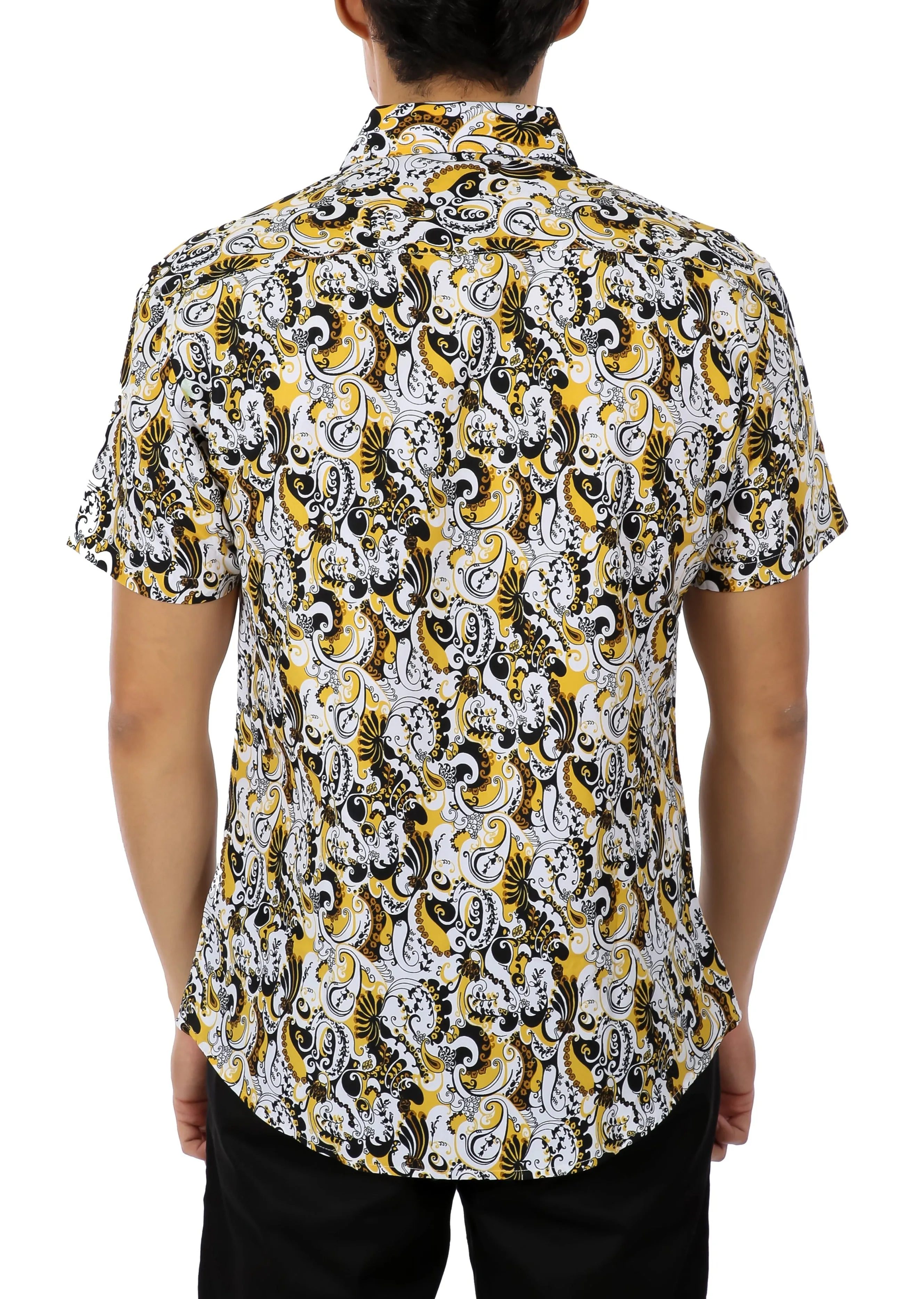 'Picasso Paisley'