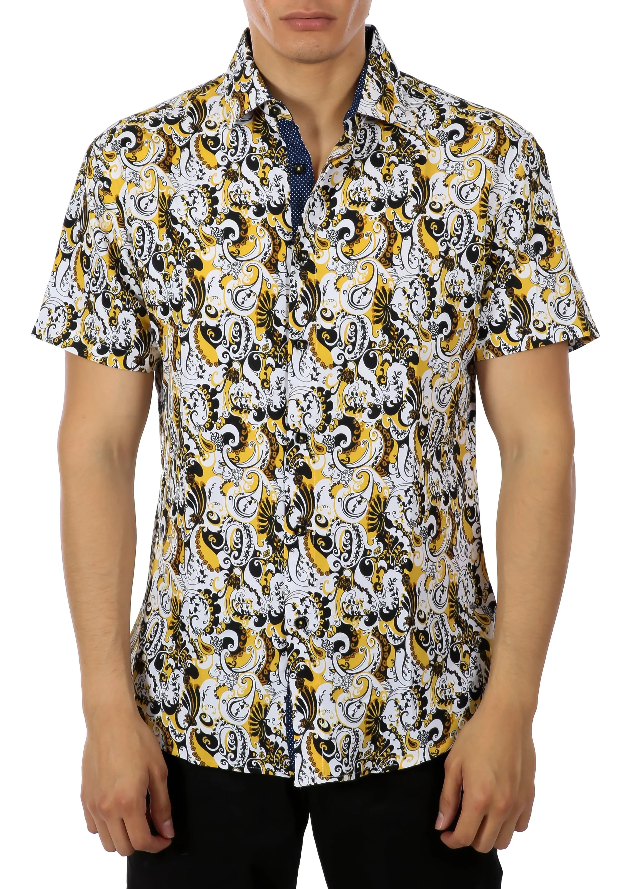 'Picasso Paisley'