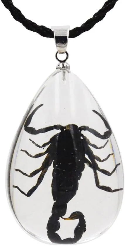 Real Scorpion Necklace, Real Scorpion Pendant Necklace