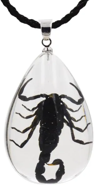 Real Scorpion Necklace, Real Scorpion Pendant Necklace